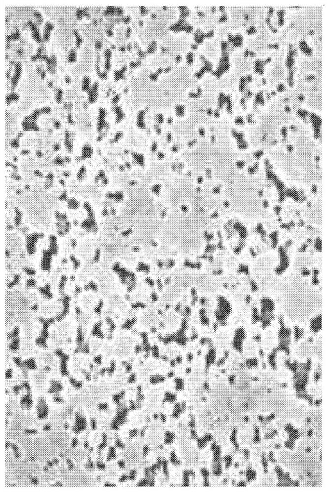 Methods respectively for producing unbaked polytetrafluoroethylene film and porous membrane provided with same