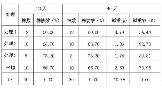 Fusarium avenaceum as well as agent and application of fusarium avenaceum