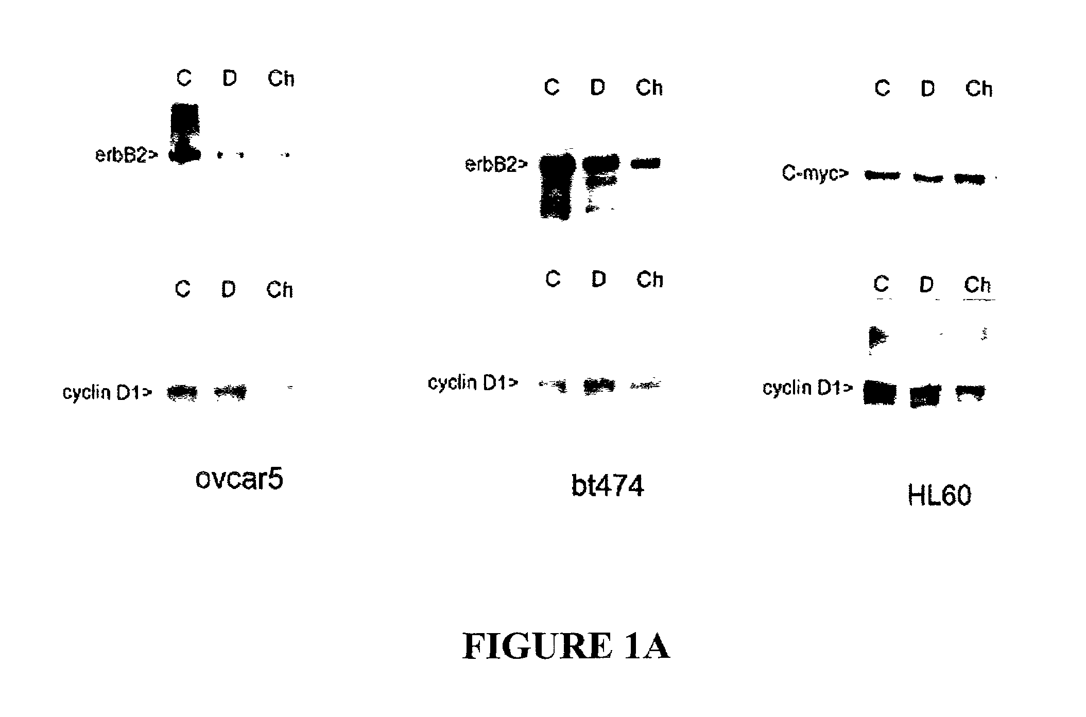 Compositions comprising genome segments and methods of using the same