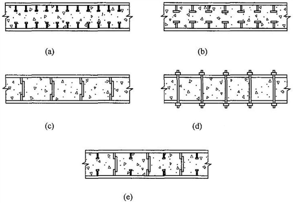 Double-steel-plate concrete composite shear wall for locking piece assembly stiffening