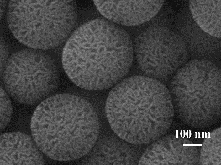 mesoporous sio  <sub>2</sub> Preparation method of surface-initiated boron affinity imprinted polymer material and its application in extraction of shikimic acid