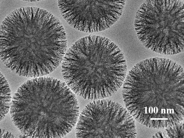 mesoporous sio  <sub>2</sub> Preparation method of surface-initiated boron affinity imprinted polymer material and its application in extraction of shikimic acid