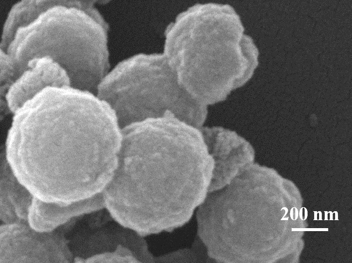 mesoporous sio  <sub>2</sub> Preparation method of surface-initiated boron affinity imprinted polymer material and its application in extraction of shikimic acid