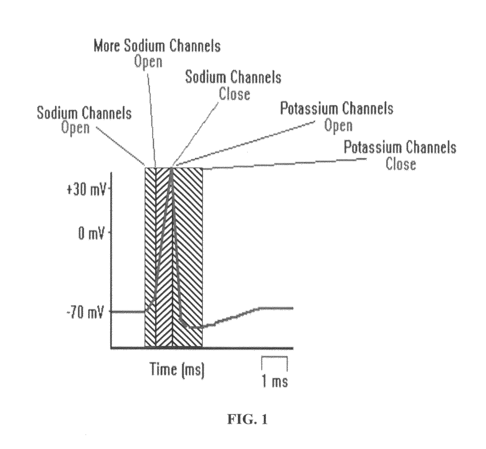 Apparatus and method for quick pain suppression