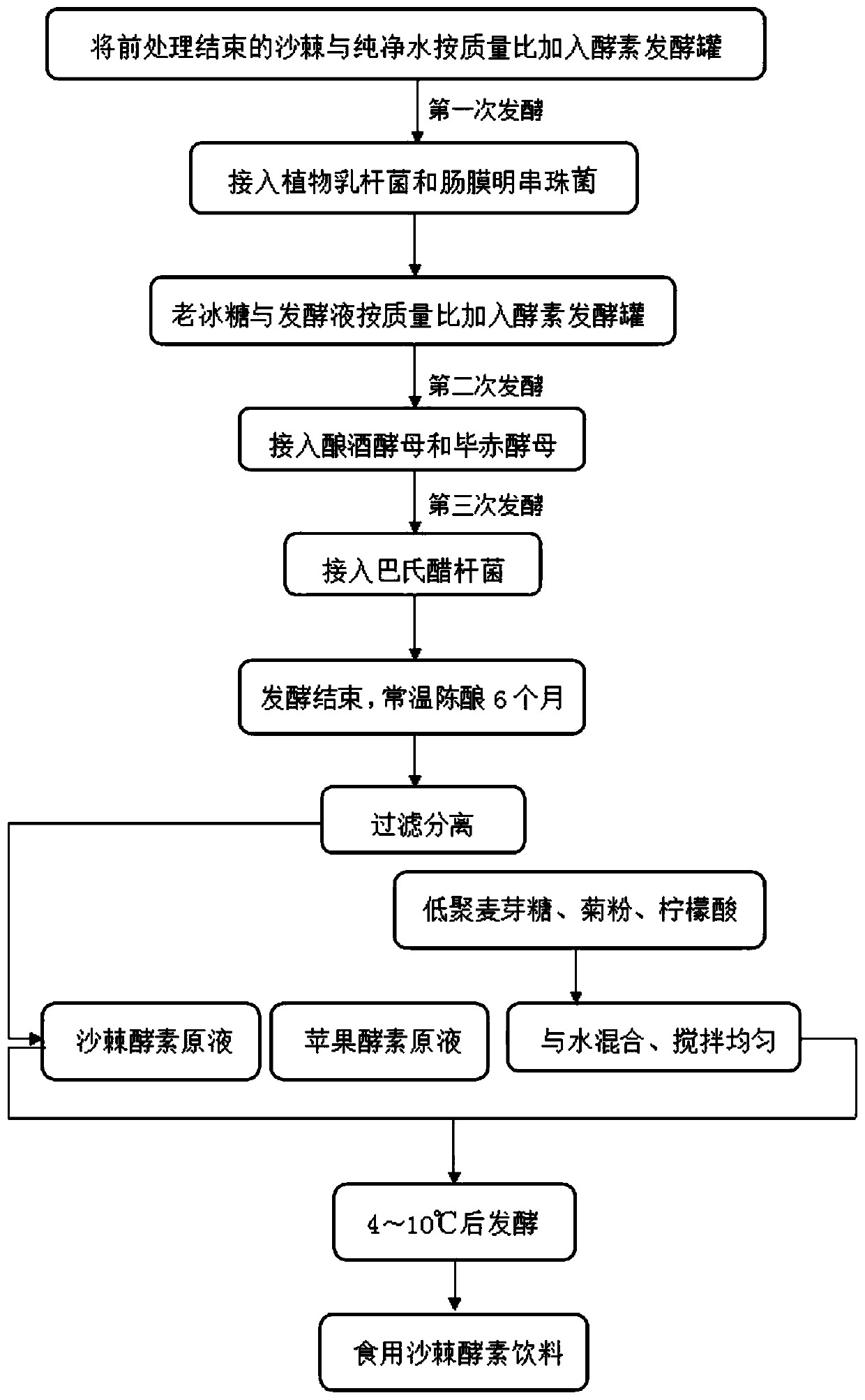 Edible hippophae rhamnoides enzyme beverage and preparation method thereof