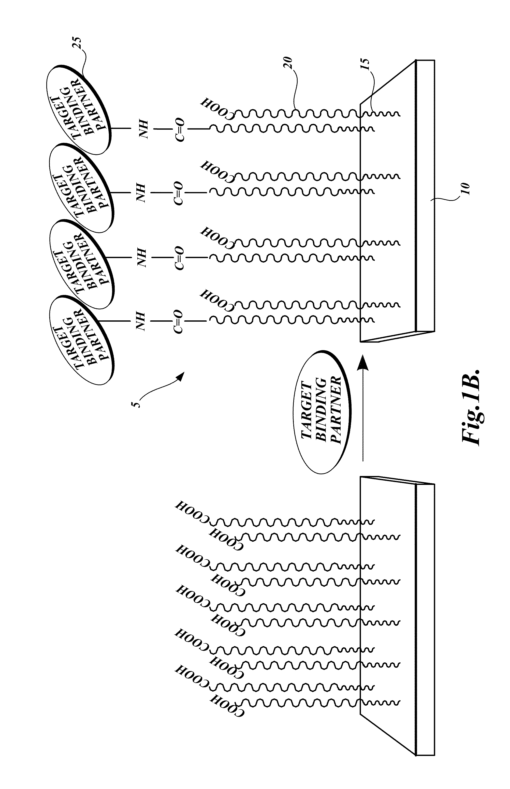 Dual-functional nonfouling surfaces comprising target binding partner covalently coupled to polymer attached to substrate