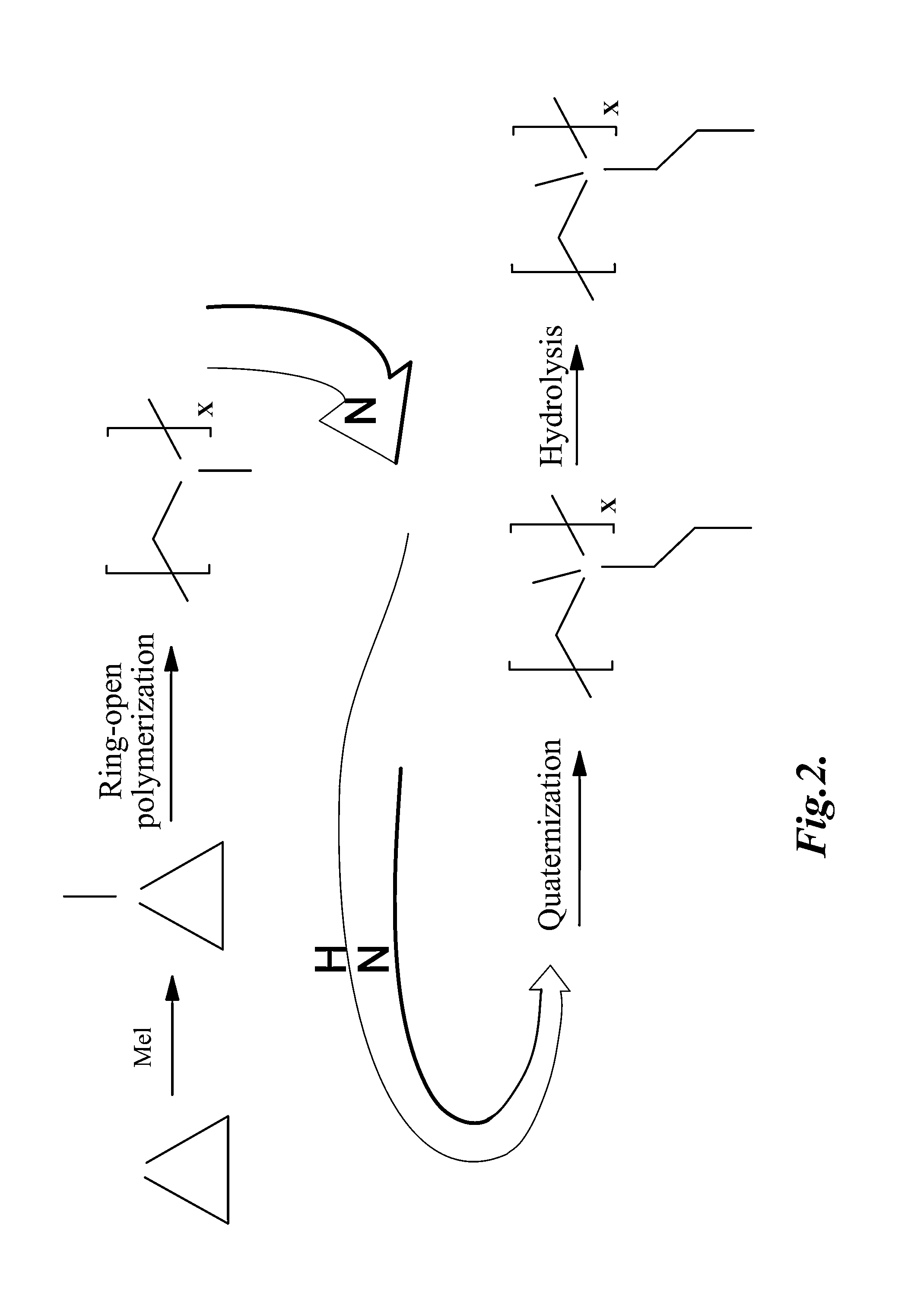 Dual-functional nonfouling surfaces comprising target binding partner covalently coupled to polymer attached to substrate