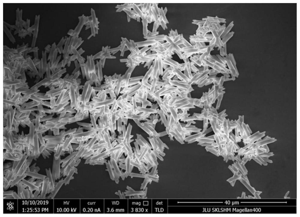 A kind of preparation method of organic-inorganic hybrid halide micronanotube