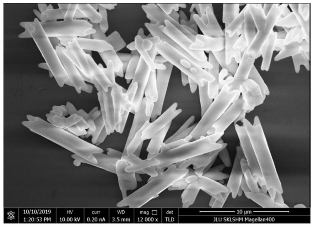 A kind of preparation method of organic-inorganic hybrid halide micronanotube