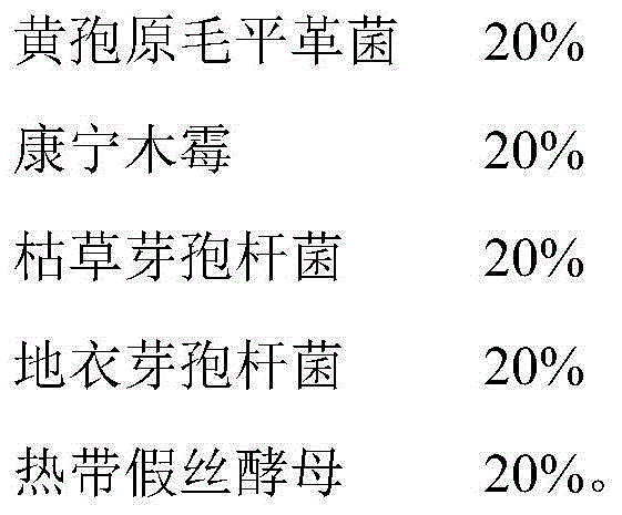 A kind of corn stalk fermentation microbial bacterial agent and its preparation method and fermentation method