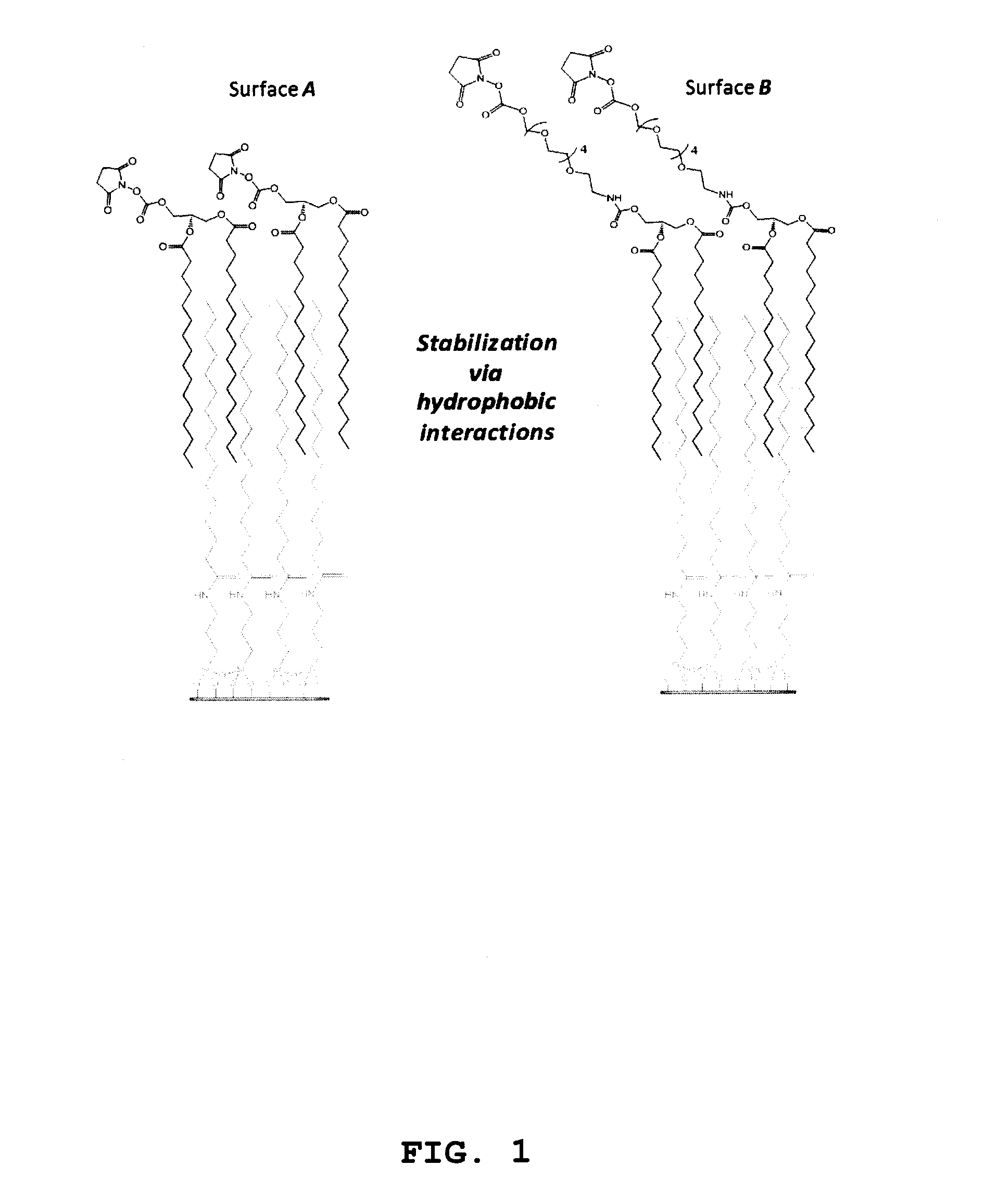 Methods for making microarrays and their uses