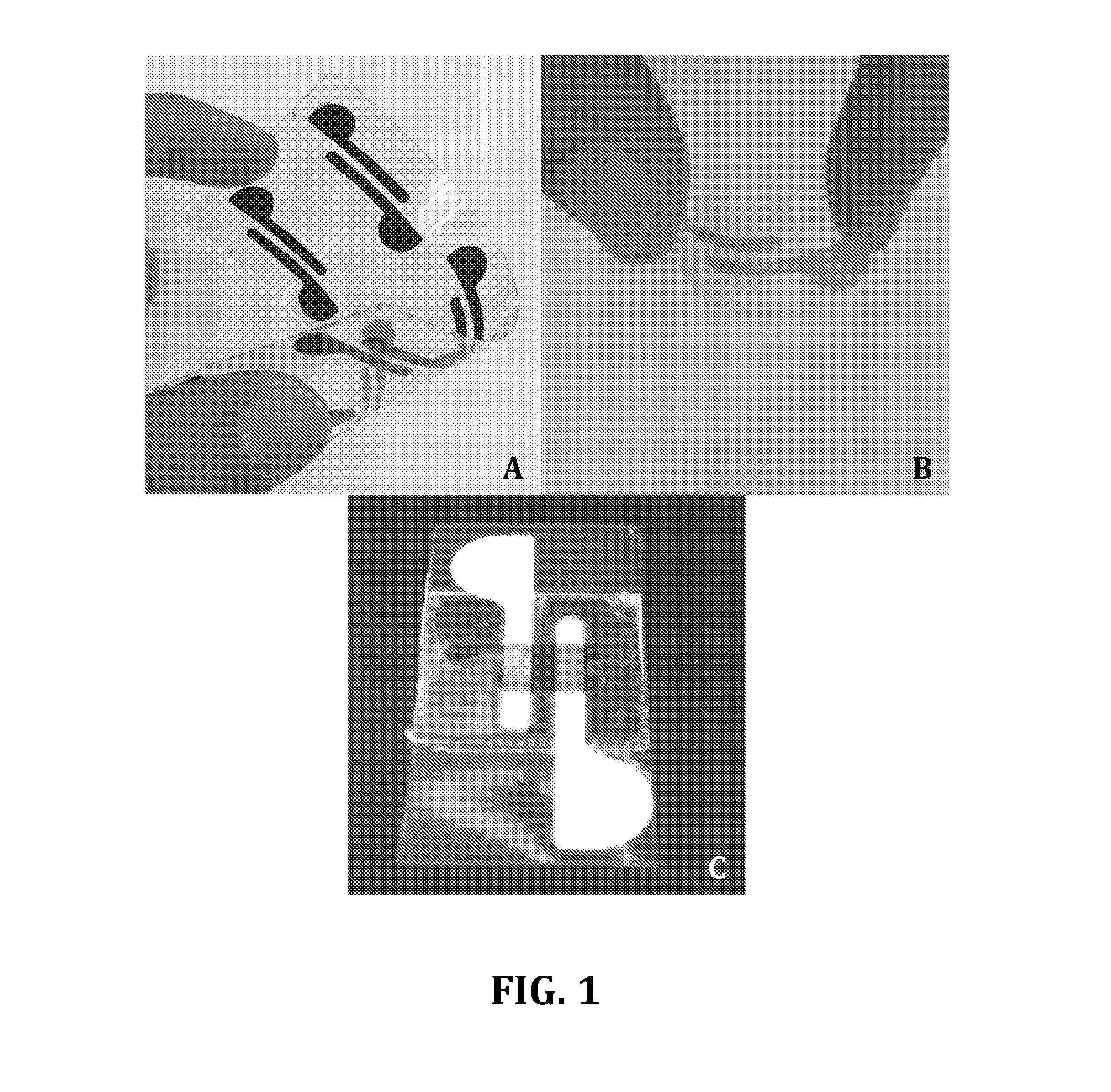 System and Method for Detecting Pathogens