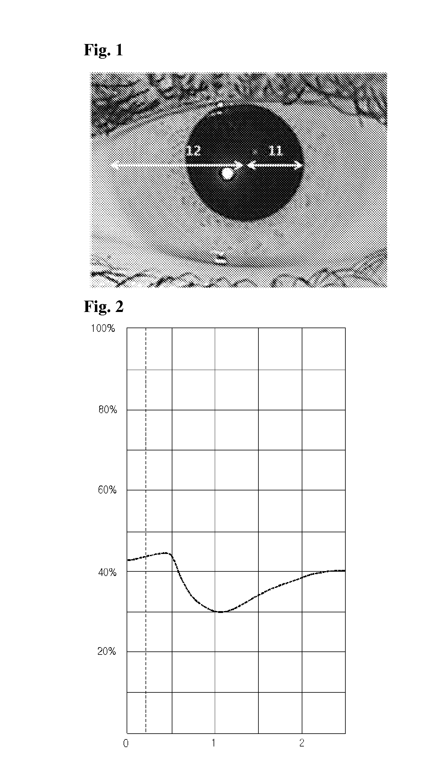 Device and method for iris recognition using a plurality of iris images having different iris sizes