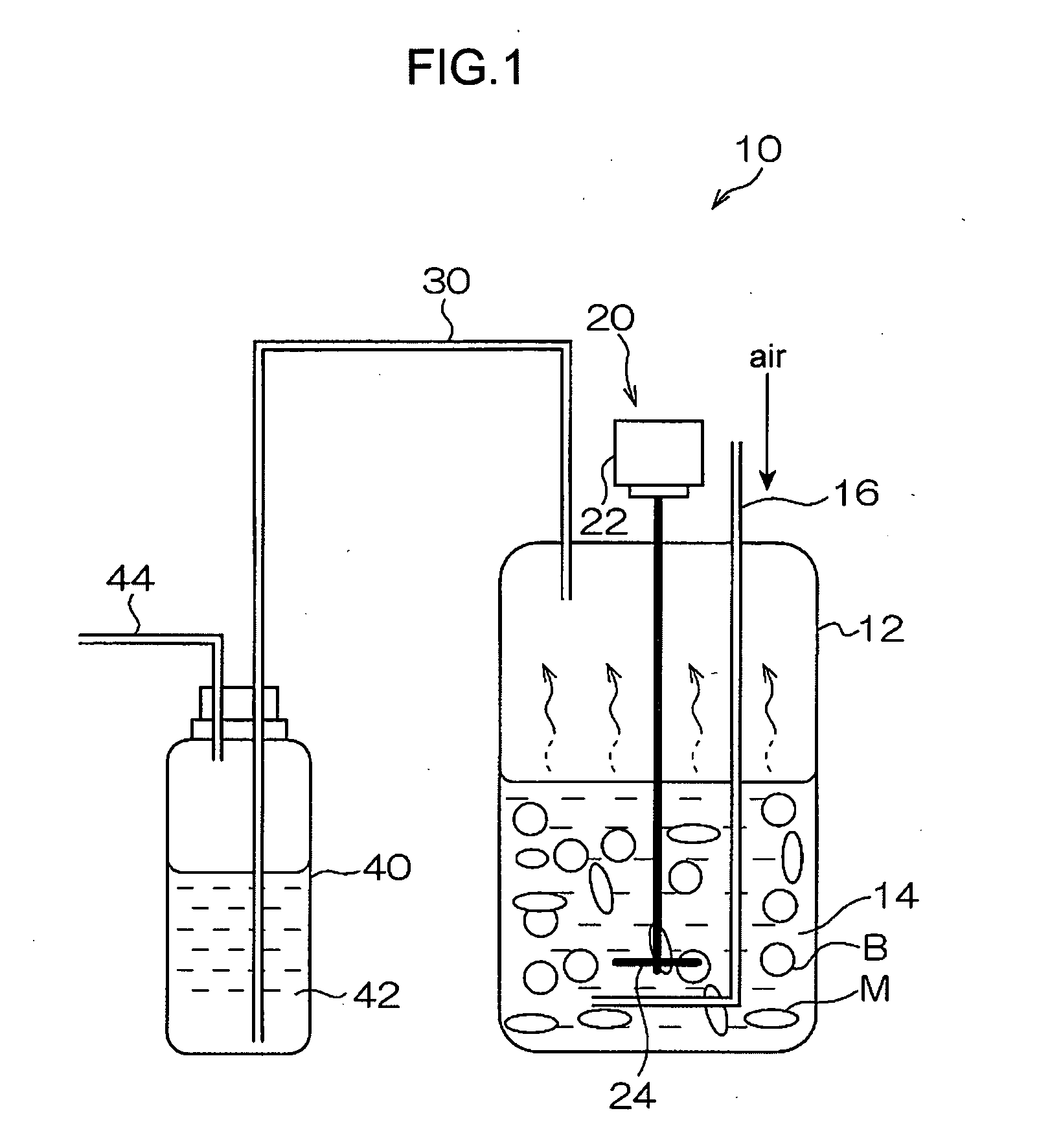 Isopropyl alcohol- producing bacterium and method of producing isopropyl alcohol using the same