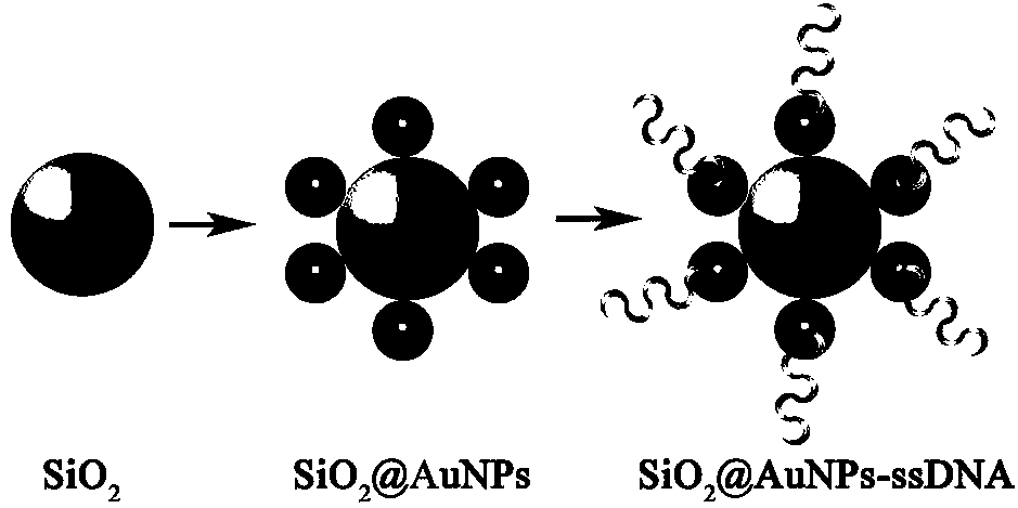 Preparation method of an antibiotic self-powered aptamer sensor