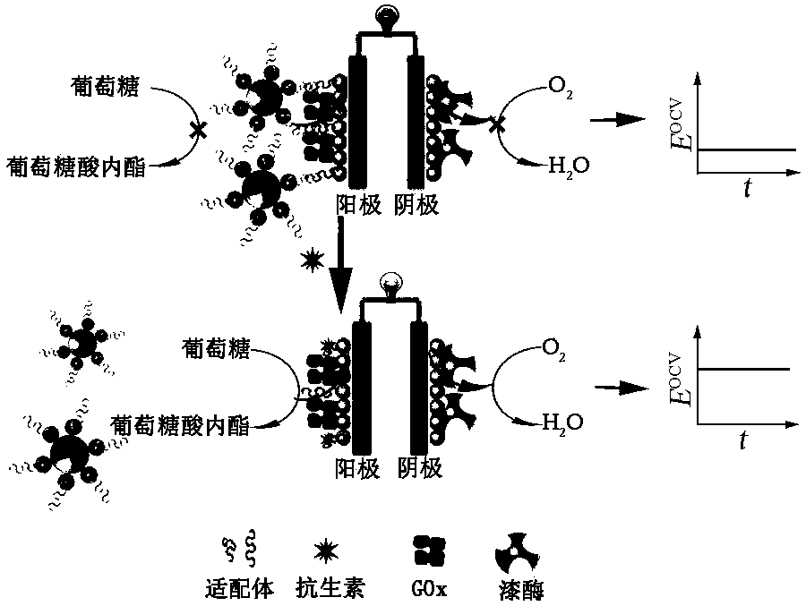 Preparation method of an antibiotic self-powered aptamer sensor