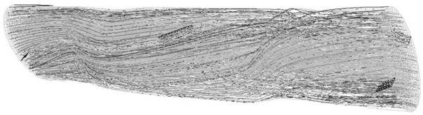 A cross-flattened multi-longitudinal vortex flow tube and its reactor