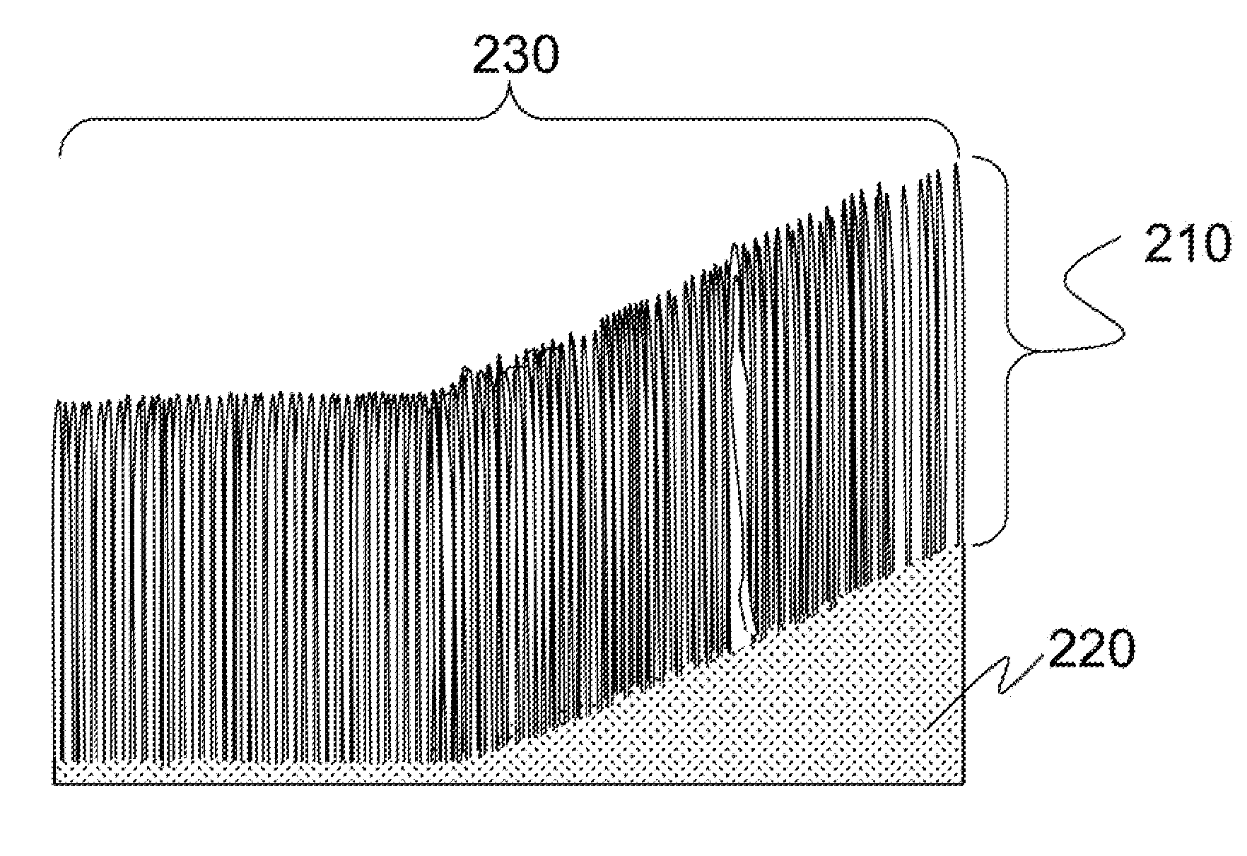 Method for selectively anchoring and exposing large numbers of nanoscale structures