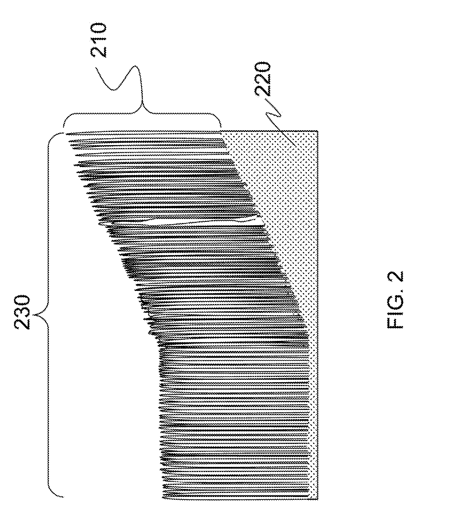 Method for selectively anchoring and exposing large numbers of nanoscale structures
