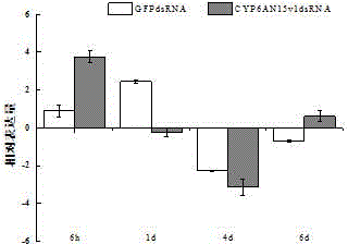 Lymantria dispar linnaeus CYP6AN15v1 gene dsRNA and application thereof in nuisanceless control