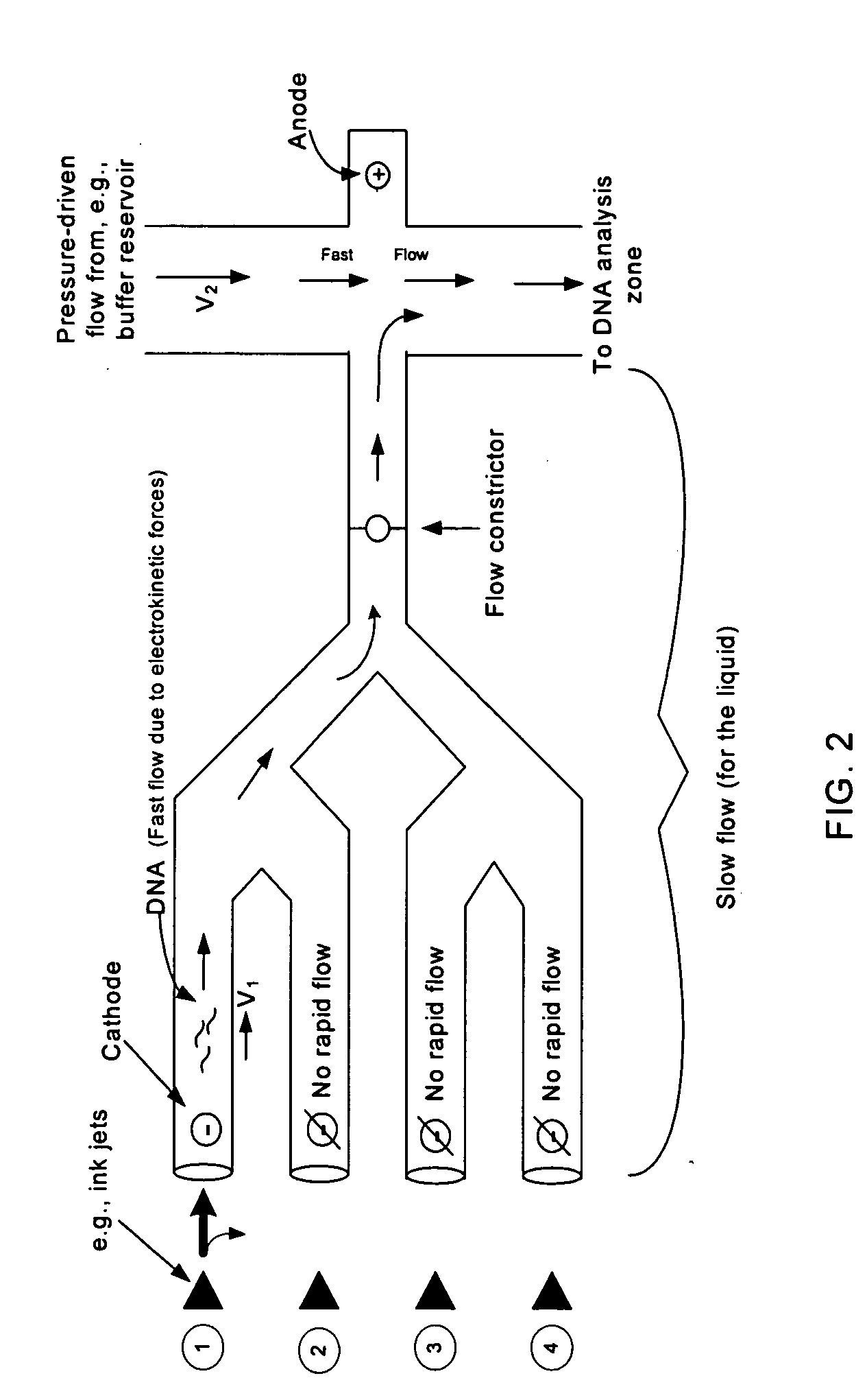 Method and molecular diagnostic device for detection, analysis and identification of genomic DNA