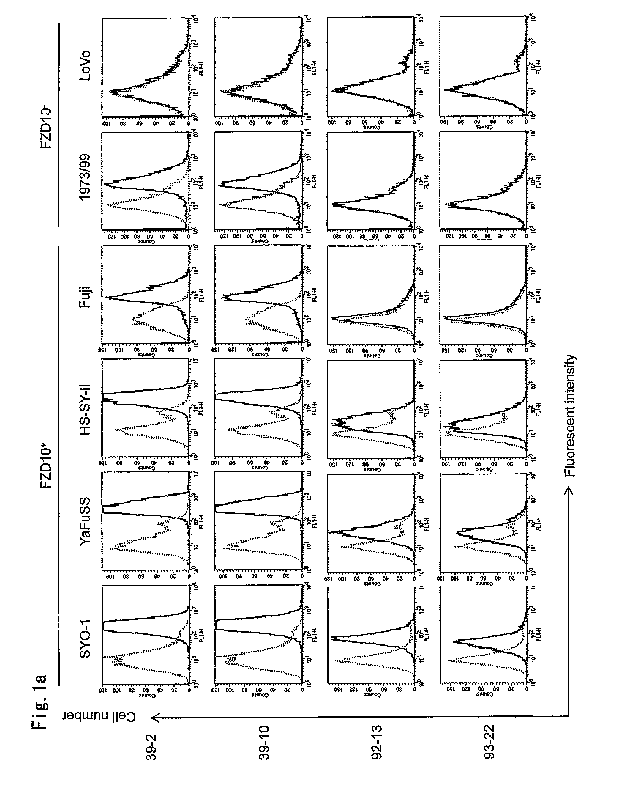 Tumor-Targeting Monoclonal Antibodies to FZD10 and Uses Thereof