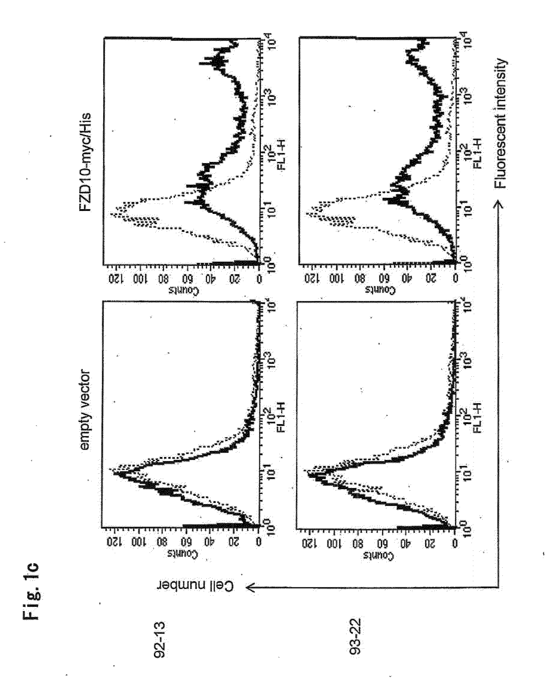 Tumor-Targeting Monoclonal Antibodies to FZD10 and Uses Thereof