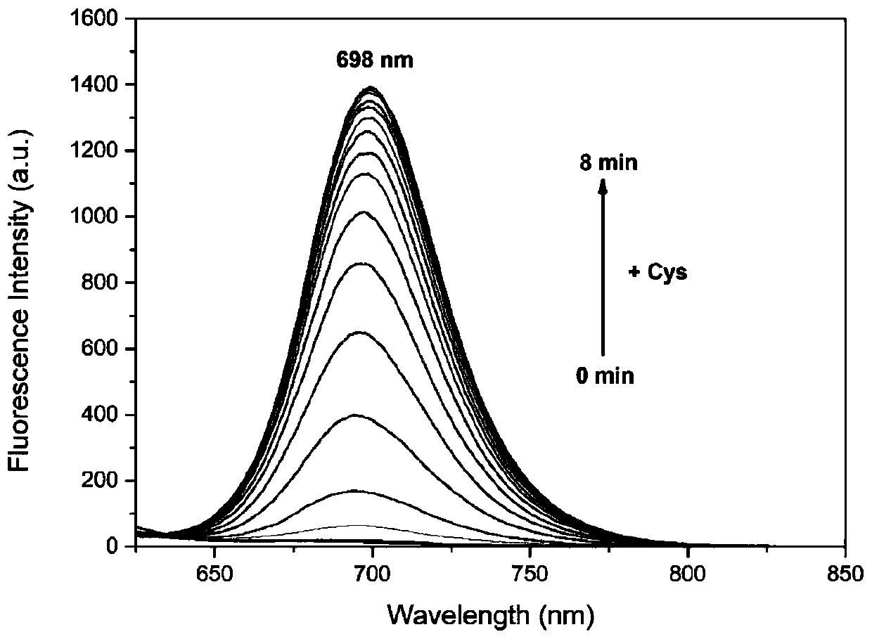Radix stemonae alkaloid analogue near-infrared fluorescent probe and preparation method thereof