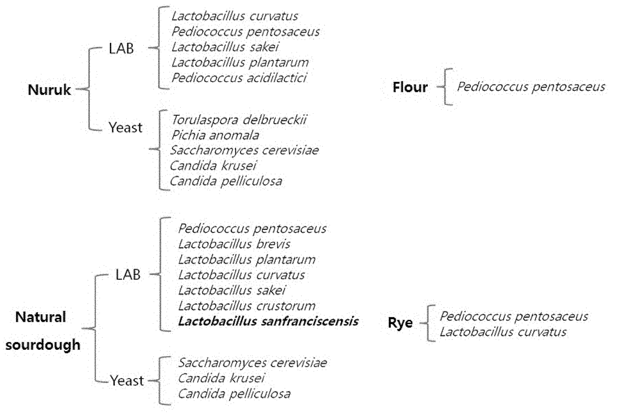 Natural lactic acid bacteria isolated from korean traditional nuruk to be used for bakery