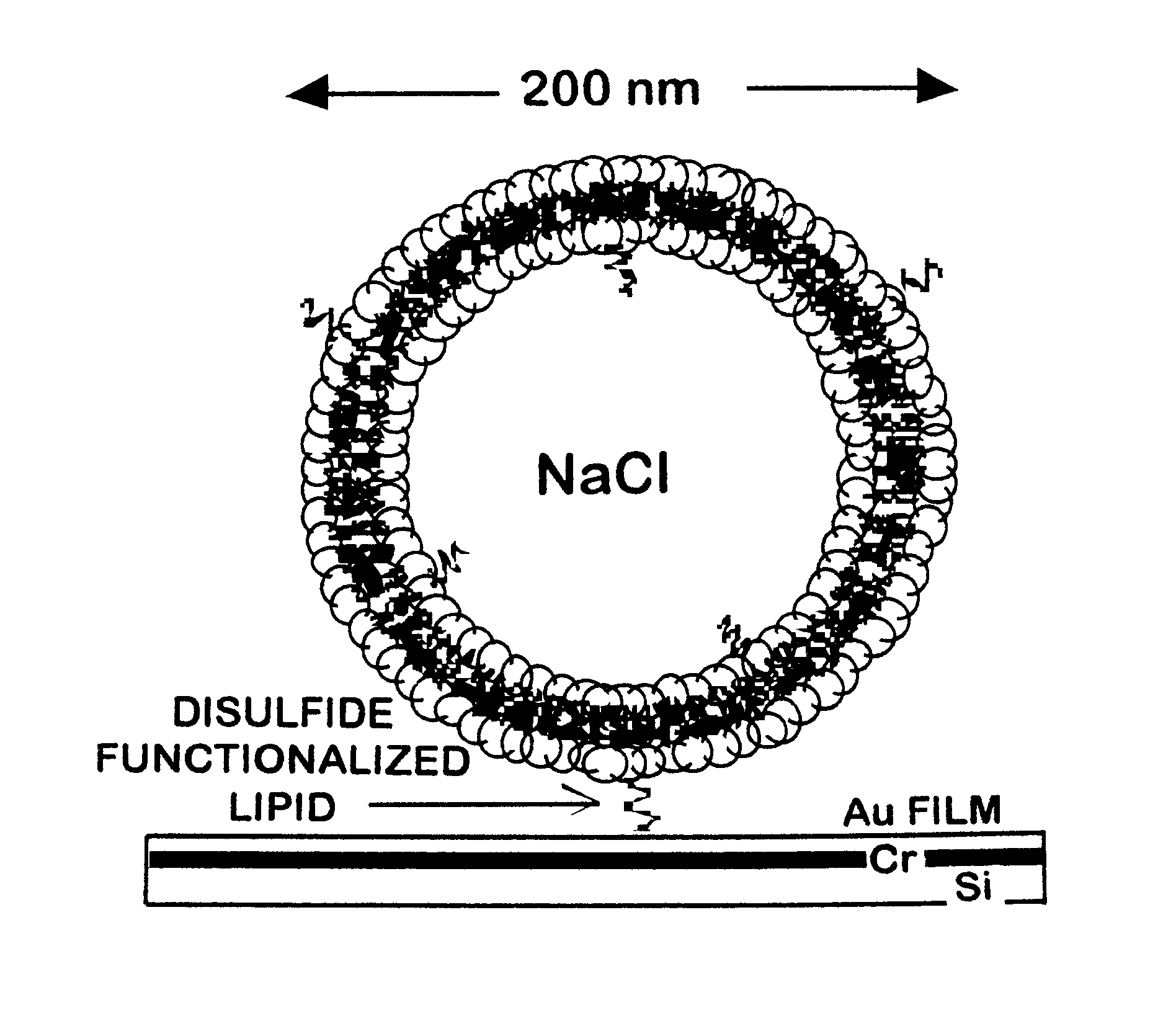 Bio-based microbattery and methods for fabrication of same