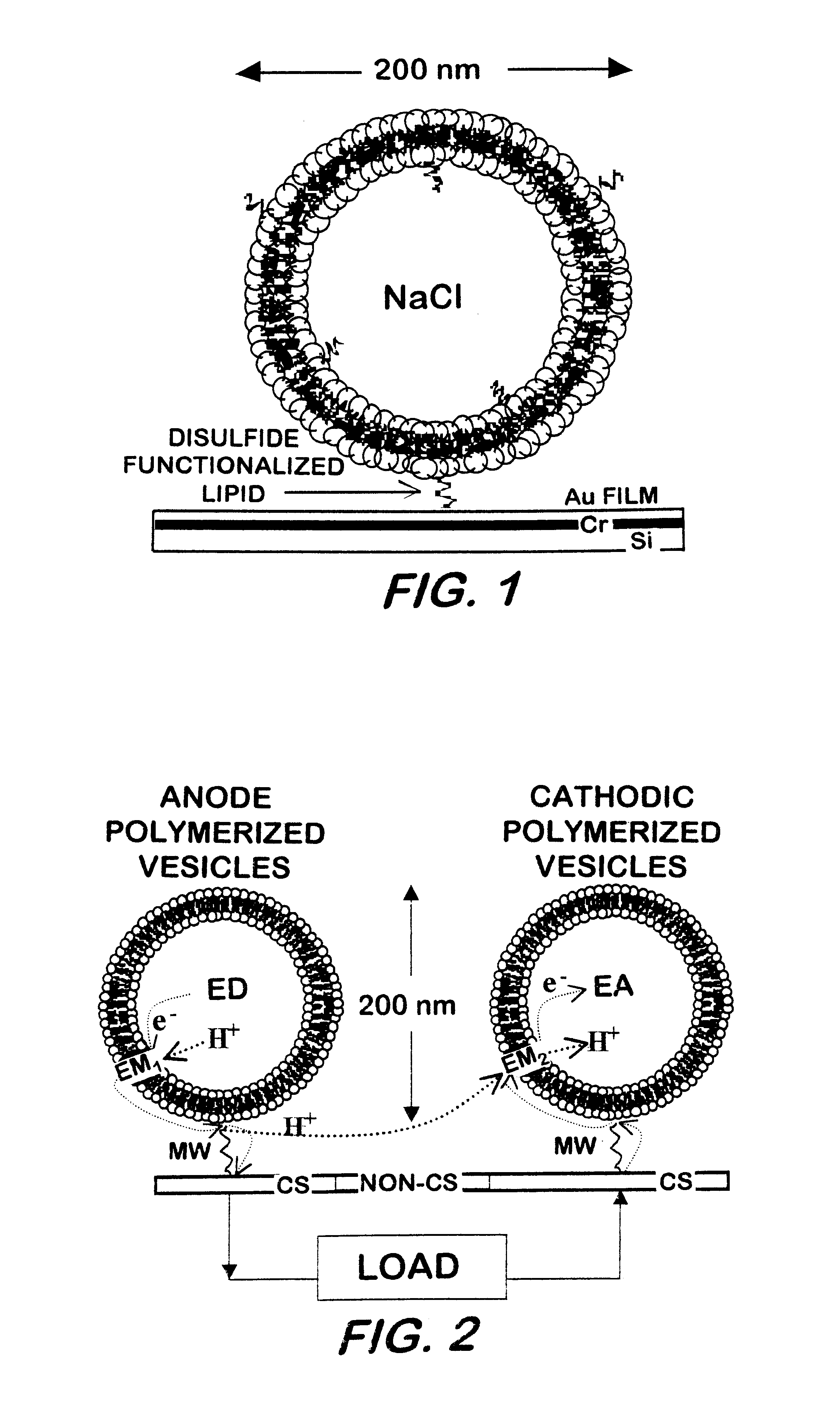 Bio-based microbattery and methods for fabrication of same