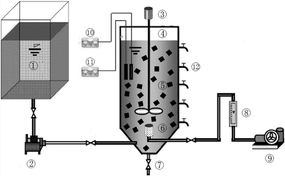 Whole process low-oxygen aeration SBMBBR synchronous denitrification and dephosphorization method