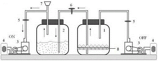 A tidal bioreactor and method for cultivating lily seed balls