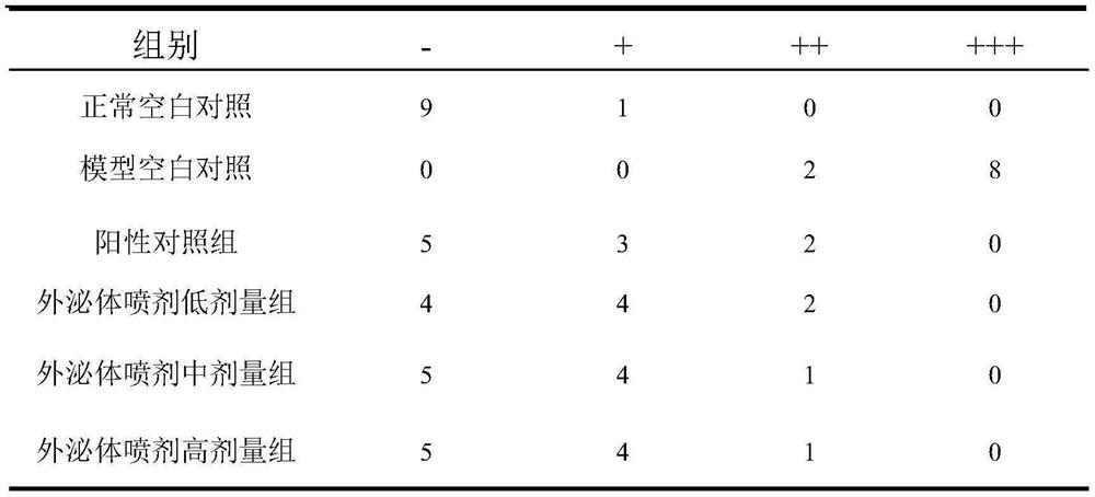 Preparation and application of gene-modified mesenchymal stem cell exosomes