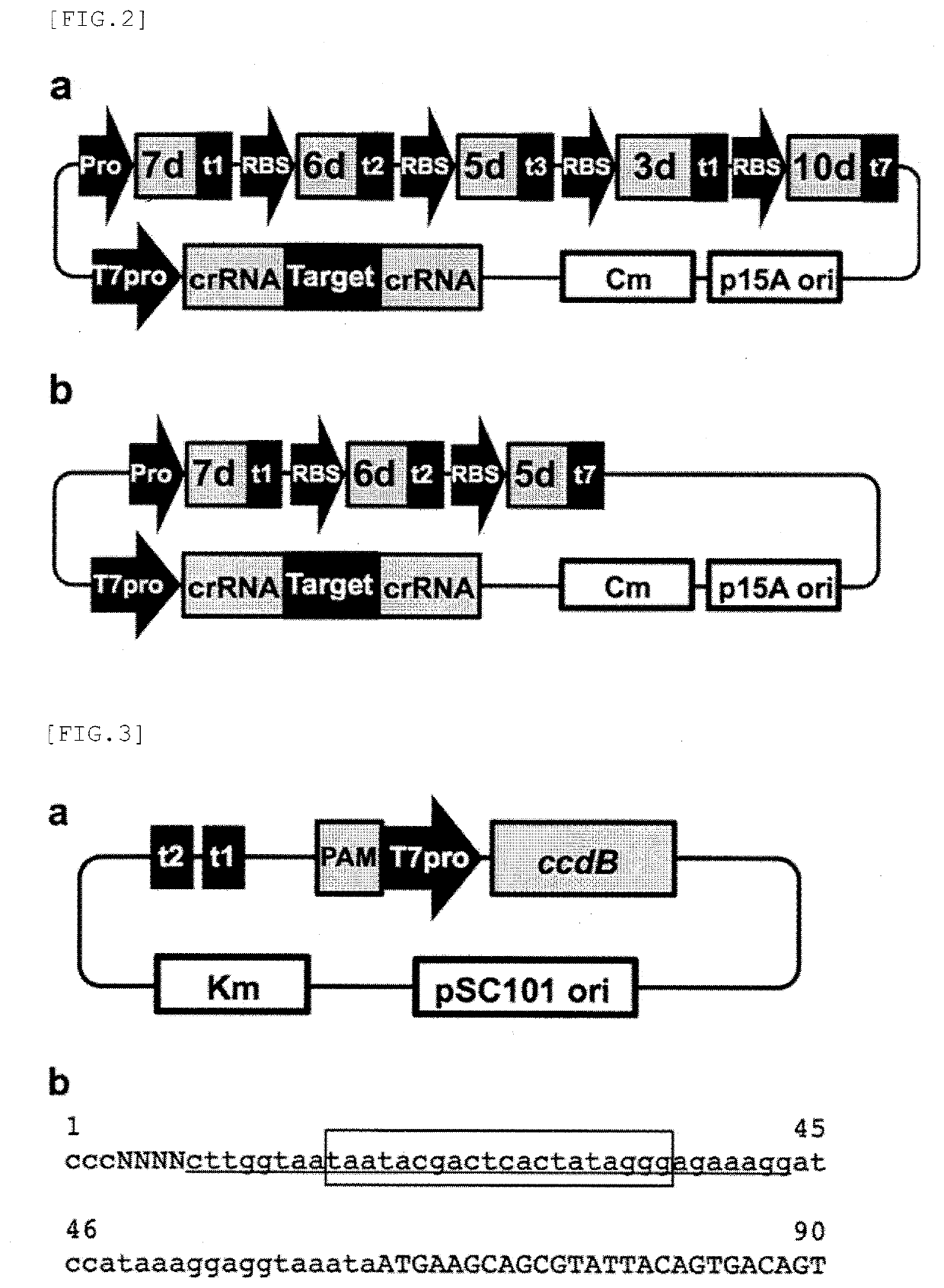 Target sequence specific alteration technology using nucleotide target recognition