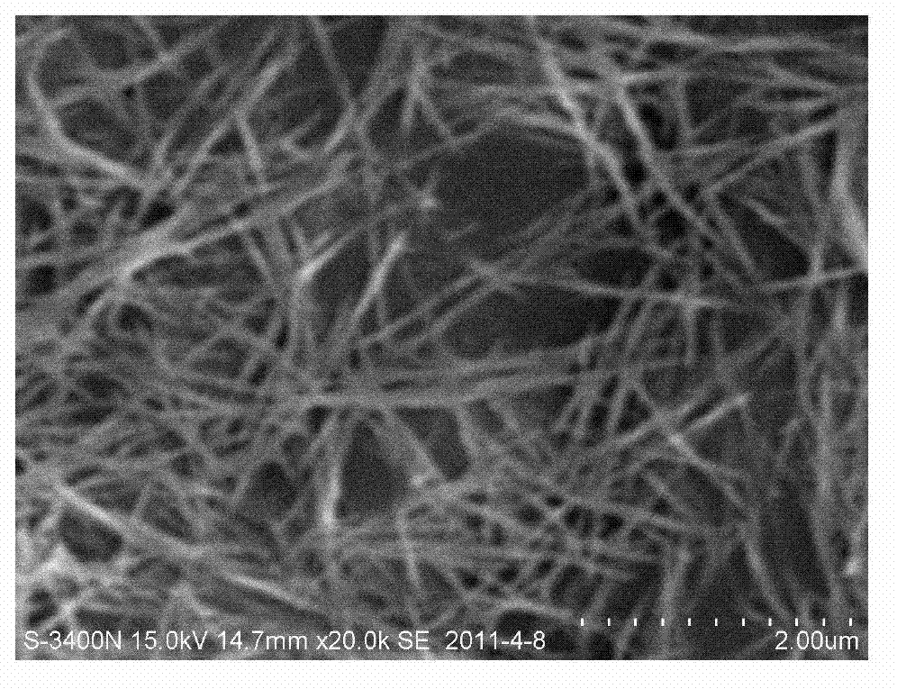Preparation method of cerium phosphate nano-wires