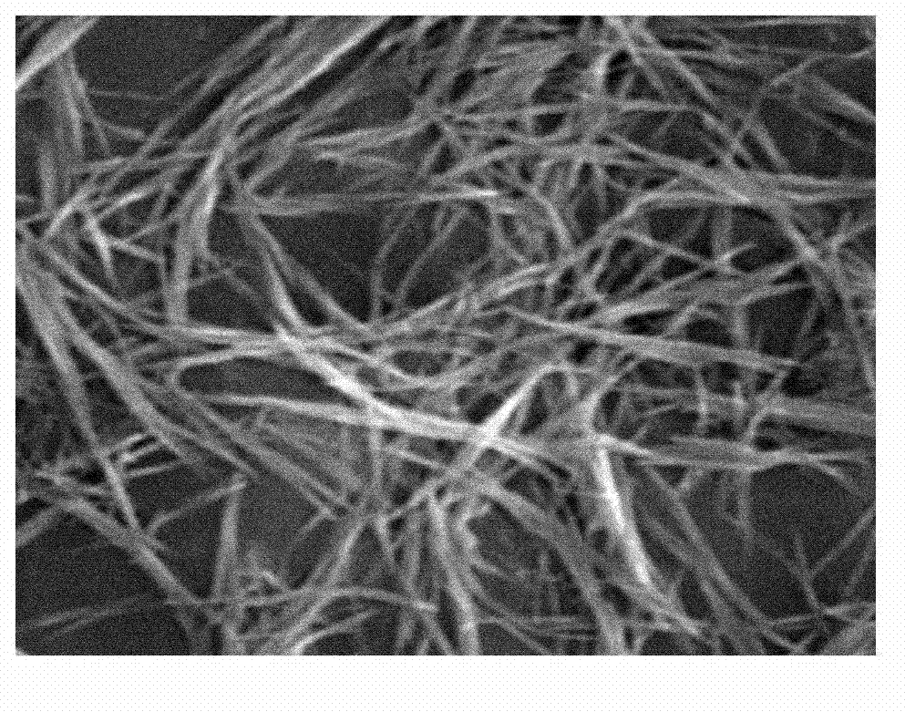 Preparation method of cerium phosphate nano-wires