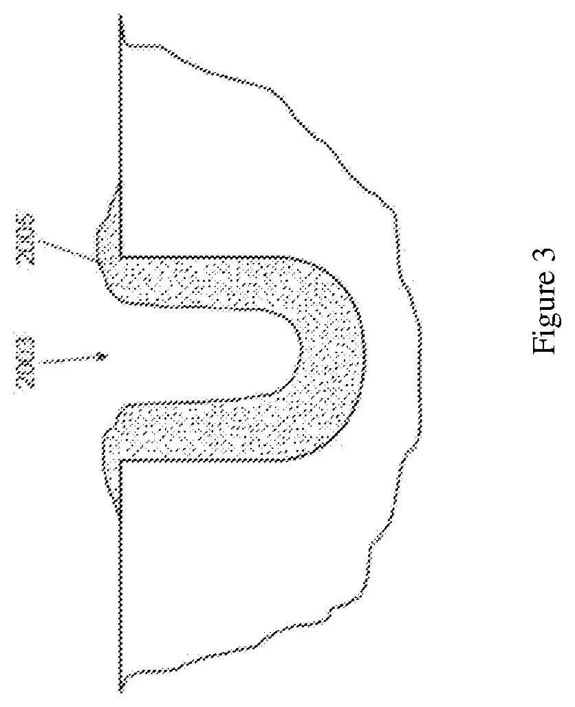 Dentifrice compositions for treatment of dental biofilm