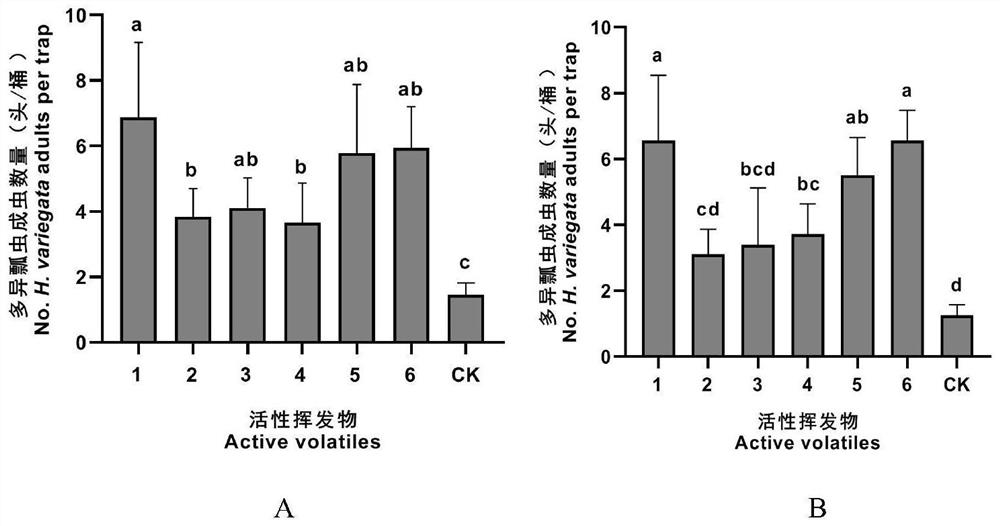 New application of volatile compound of liquorice and alhagi sparsifolia