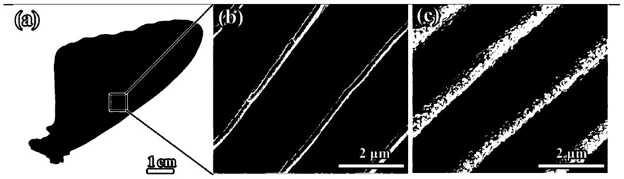 Carbon-based nanoparticle film with anti-reflection micro-nano structure and preparation method