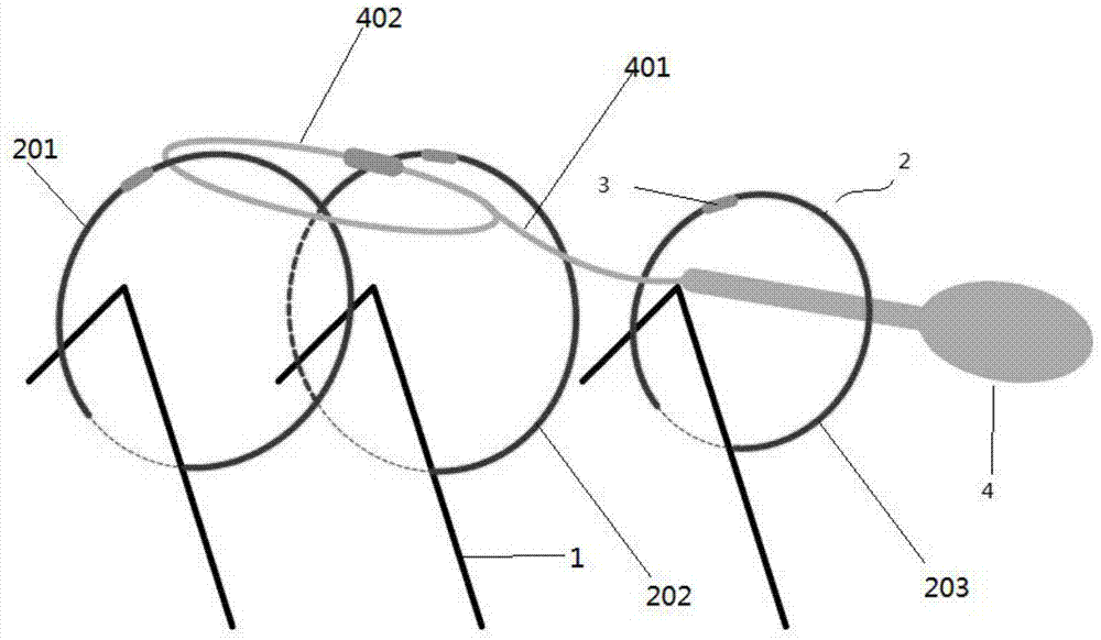 Chinese sturgeon satellite marking bone plate suspension structure and suspension method
