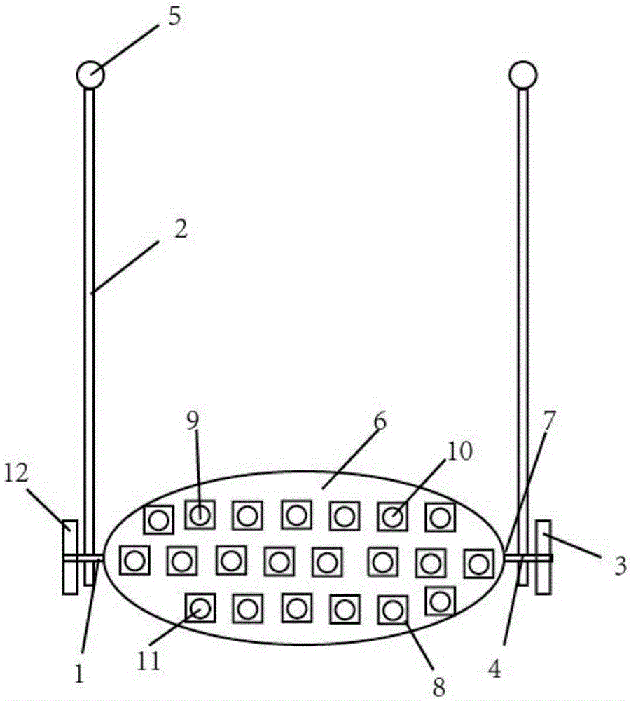 Lamp for plant growing and application of lamp