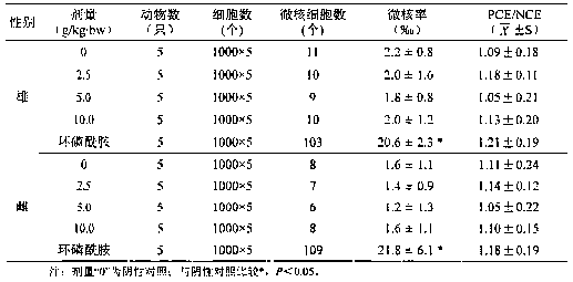 Traditional Chinese medicine composition capable of clearing and nourishing throat and preparation method thereof