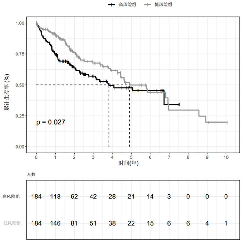 Liver cancer patient survival rate prognosis model