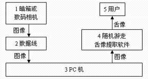 Random walk tongue image extraction method based on multi-rule fusion