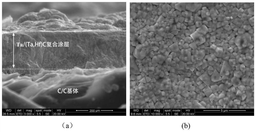 Ultra-high temperature anti-oxidation and ablation-resistant layer and preparation method thereof