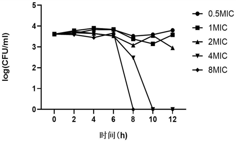 Application of allicin in preparation of anti-saccharomycetes drugs