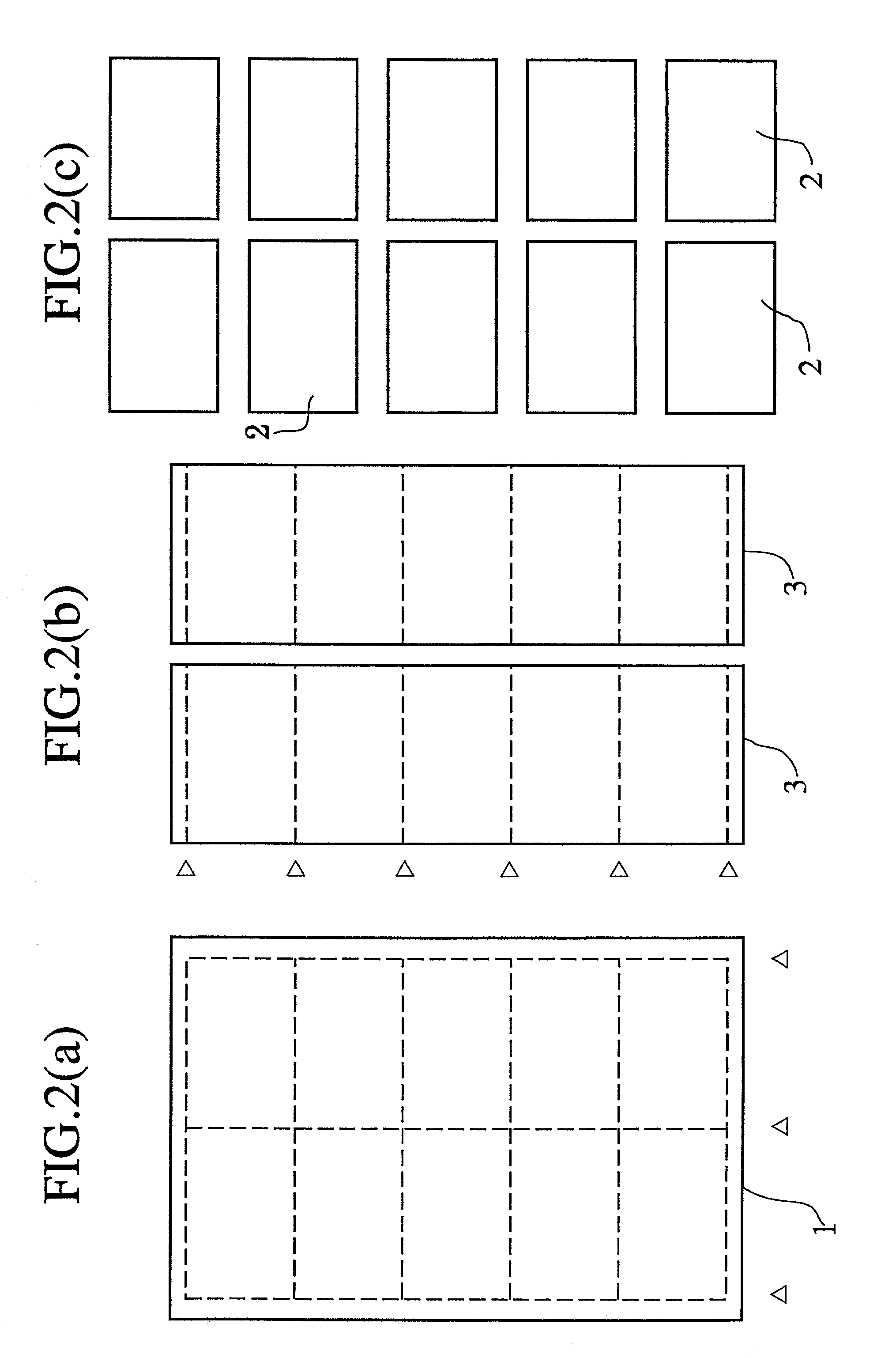 Paper cutting apparatus