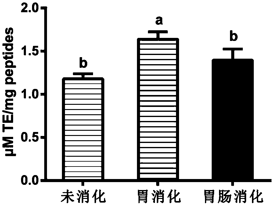 Method for preparing antioxidant tripeptide from rice polypeptide and application