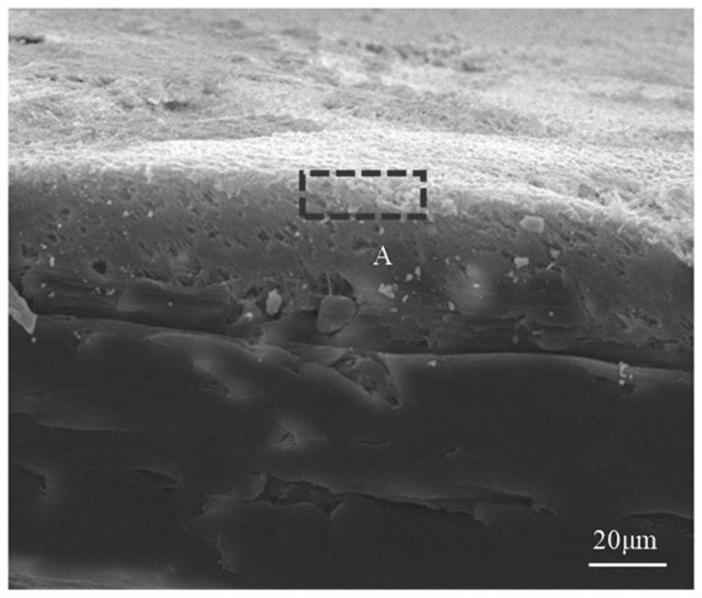 Ti3C2Tx composite material, preparation method thereof, SERS substrate and detection method of nitrofurantoin and ofloxacin